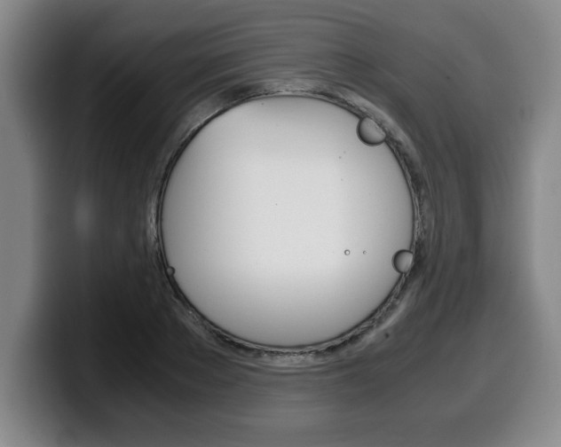 X0000100310889200806051326