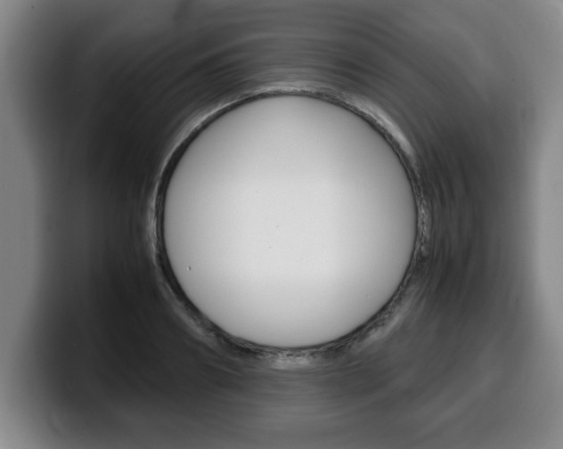 X0000100310890200806051326