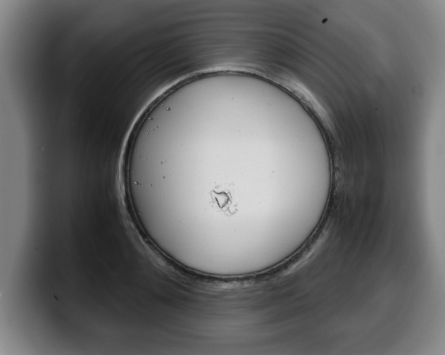 X0000100310892200806051326