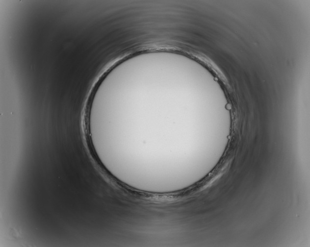 X0000100310893200806051326