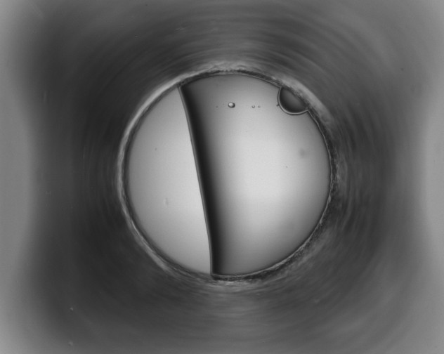 X0000100310894200806051326