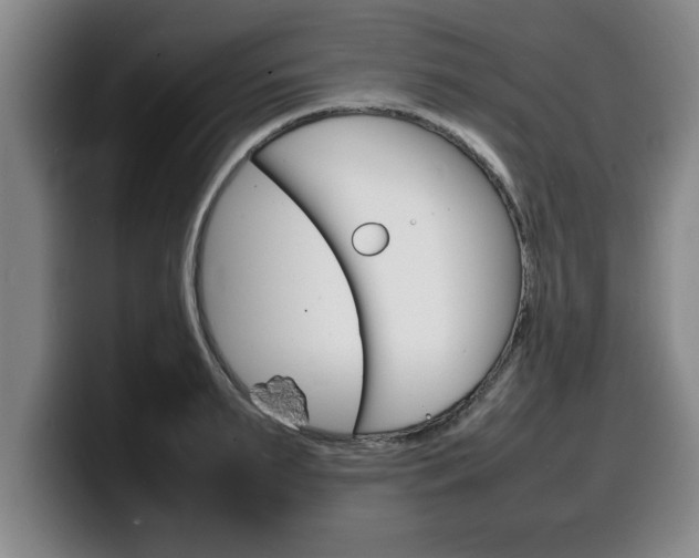 X0000100310895200806051326