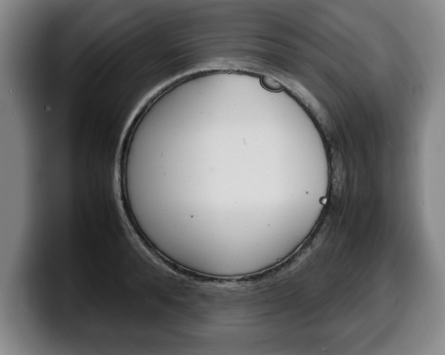 X0000100310896200806051326