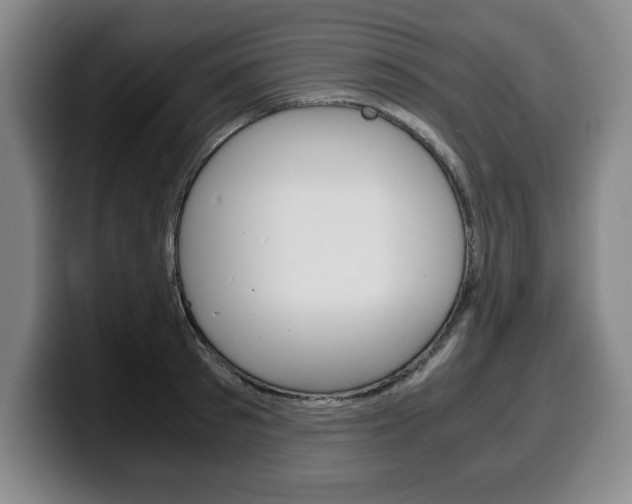 X0000100310897200806051326