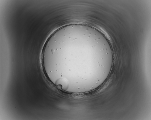 X0000100310899200806051326