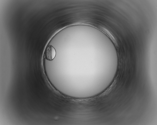 X0000100310900200806051326