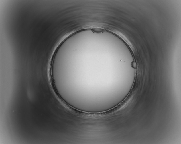 X0000100310901200806051326