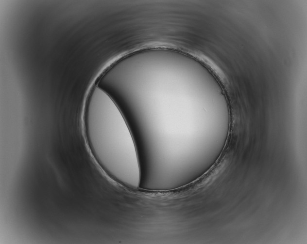 X0000100310902200806051326