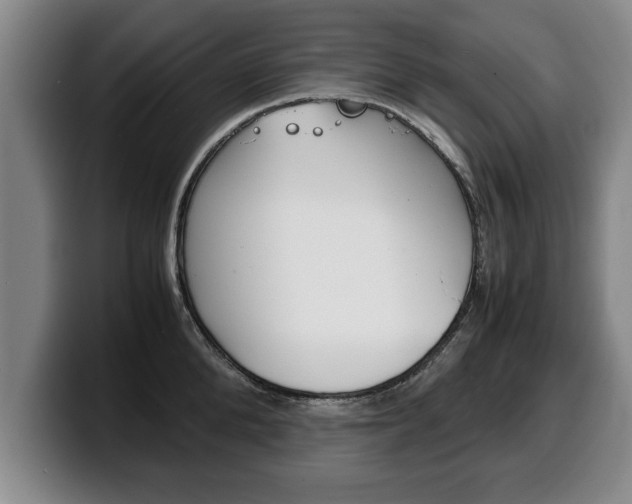 X0000100310904200806051326