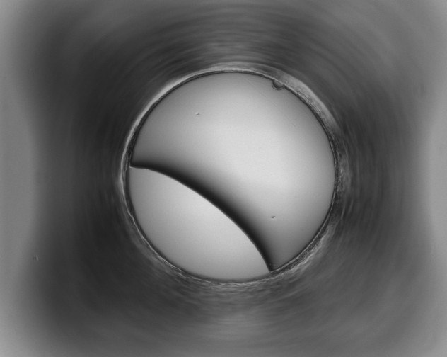 X0000100310908200806051326