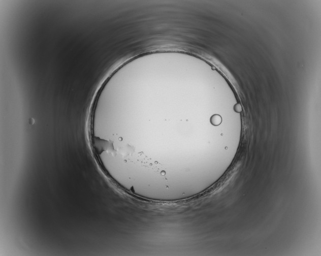 X0000100310909200806051326