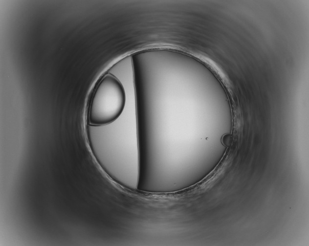 X0000100310910200806051326