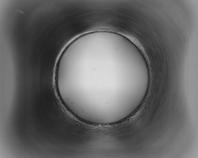 X0000100310912200806051326