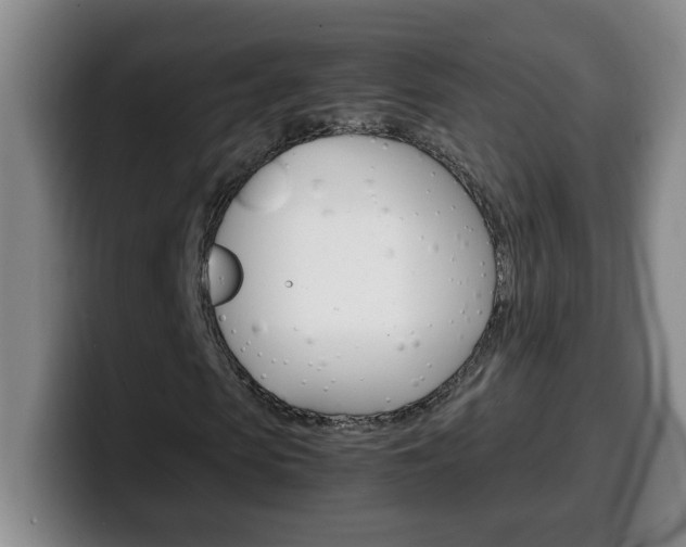 X0000100310913200806051325