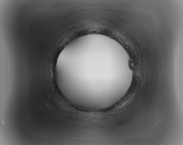 X0000100310916200806051325