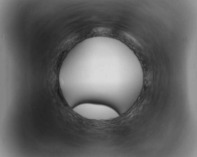 X0000100310917200806051325