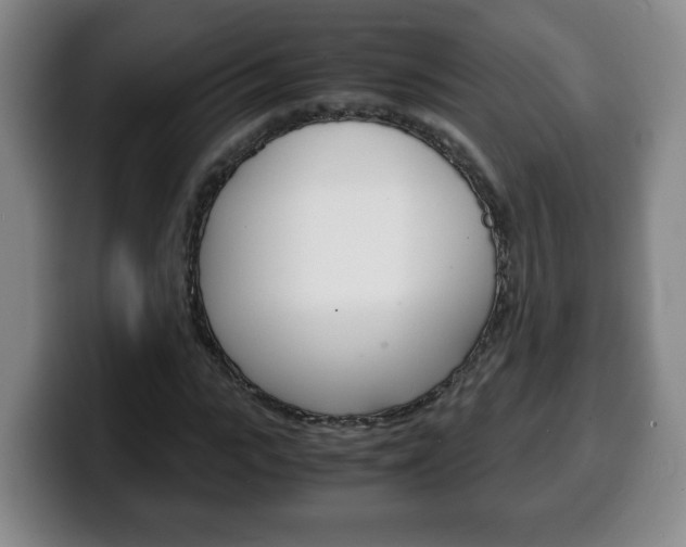 X0000100310919200806051325