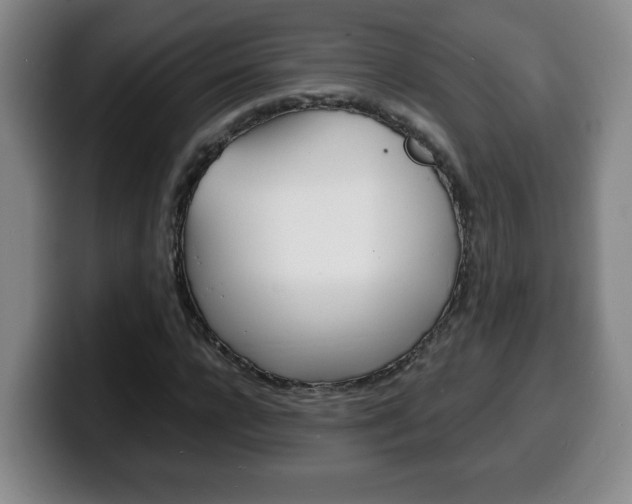 X0000100310920200806051325