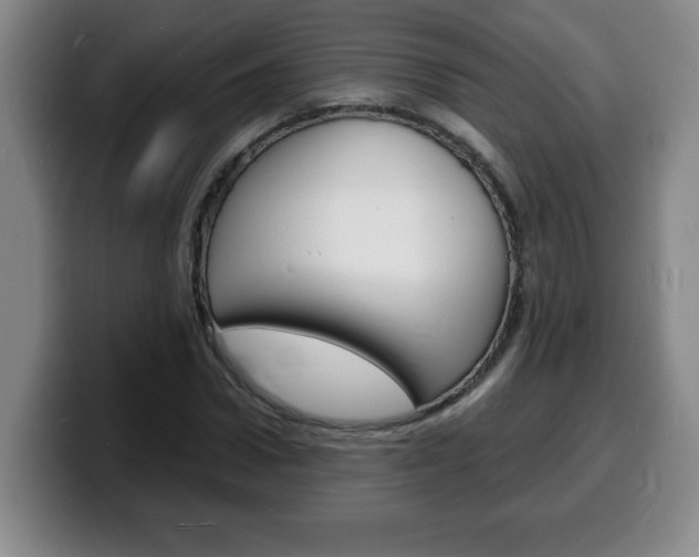 X0000100310922200806051325