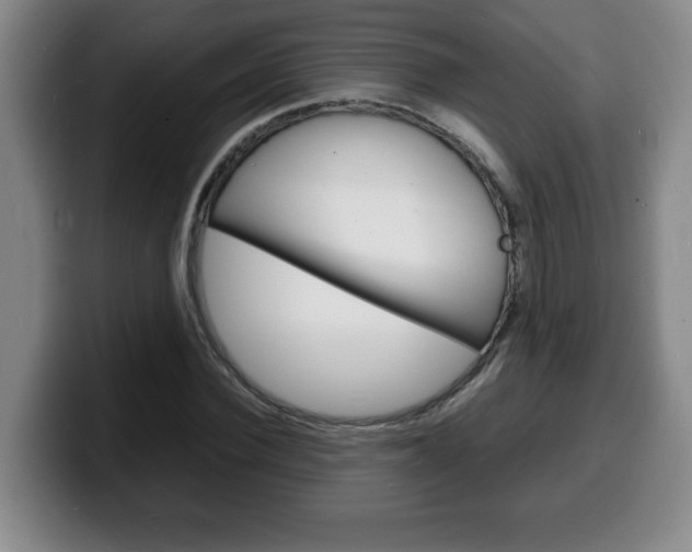 X0000100310924200806051325