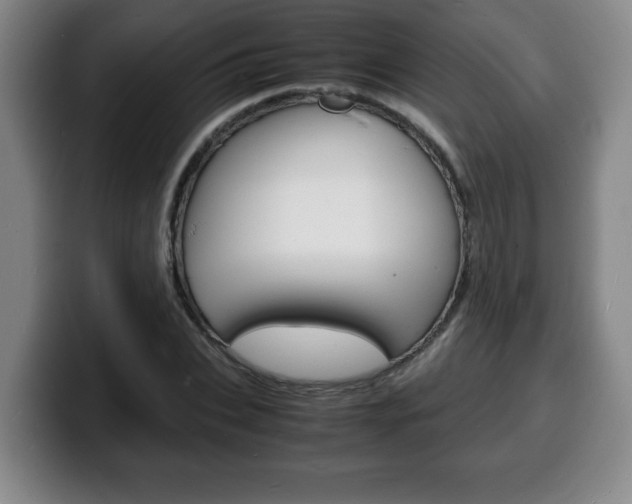 X0000100310927200806051325