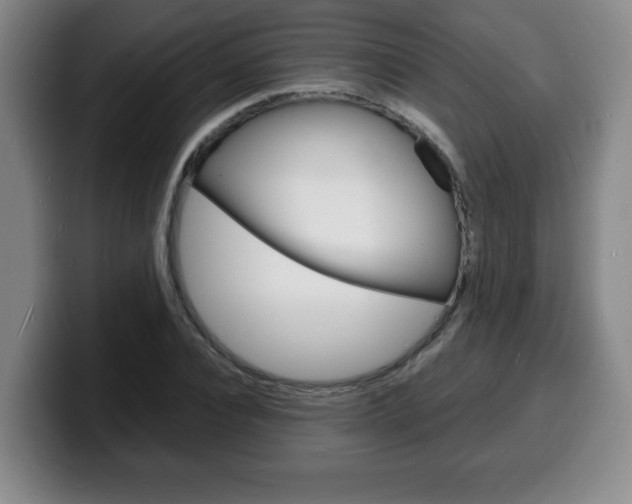 X0000100310928200806051325