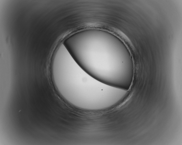 X0000100310930200806051325