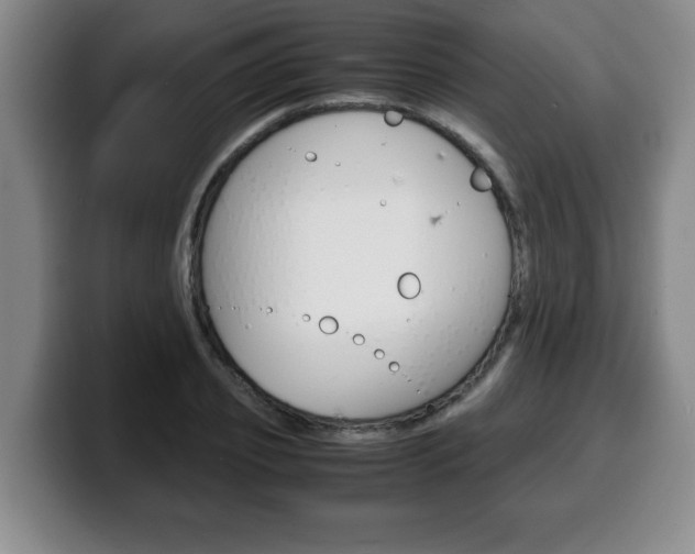 X0000100310933200806051326