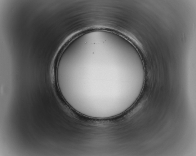 X0000100310934200806051326