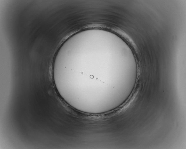 X0000100310937200806051326