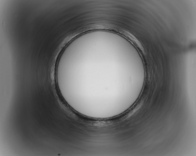 X0000100310938200806051326