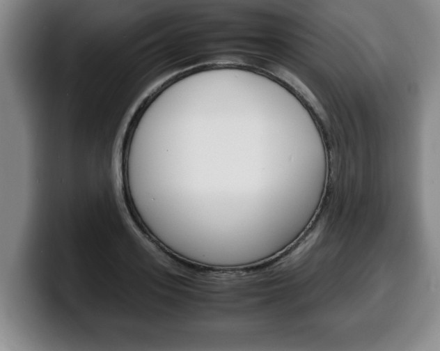 X0000100310939200806051326