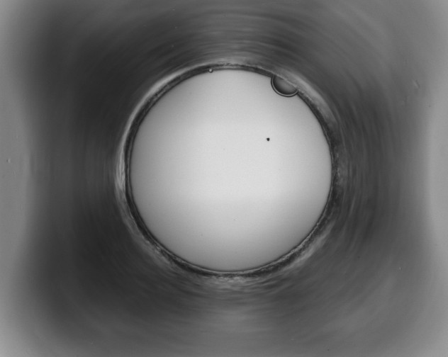 X0000100310940200806051326