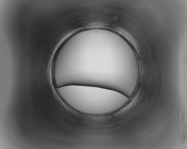 X0000100310941200806051326