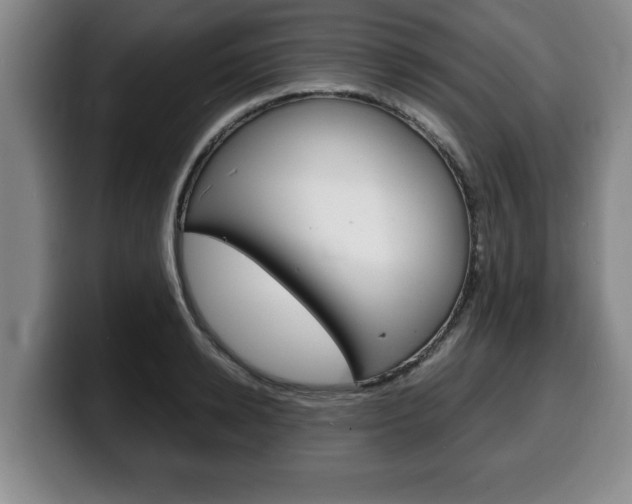 X0000100310942200806051326