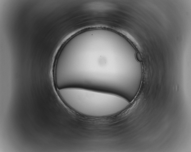 X0000100310943200806051326