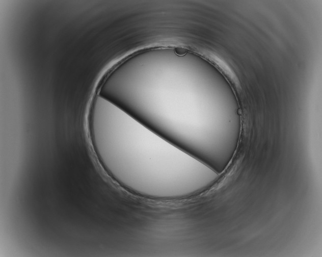 X0000100310944200806051326