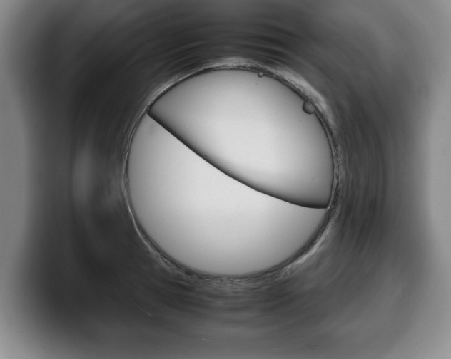 X0000100310945200806051326