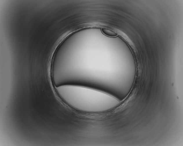 X0000100310946200806051326