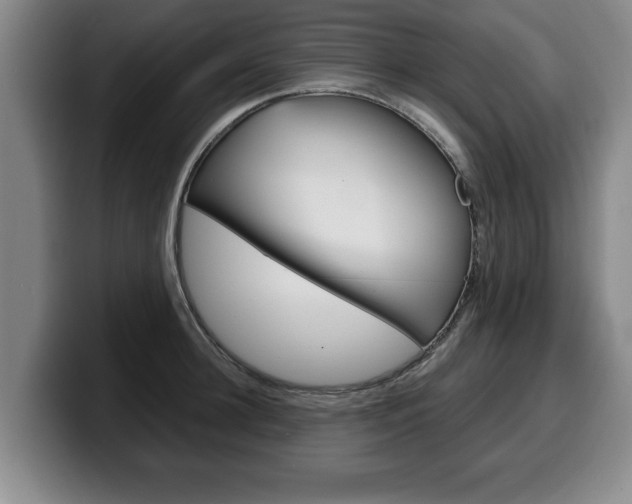 X0000100310948200806051326