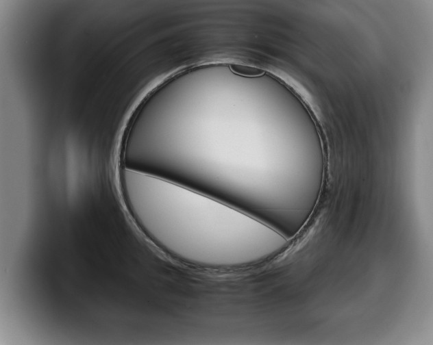 X0000100310949200806051326