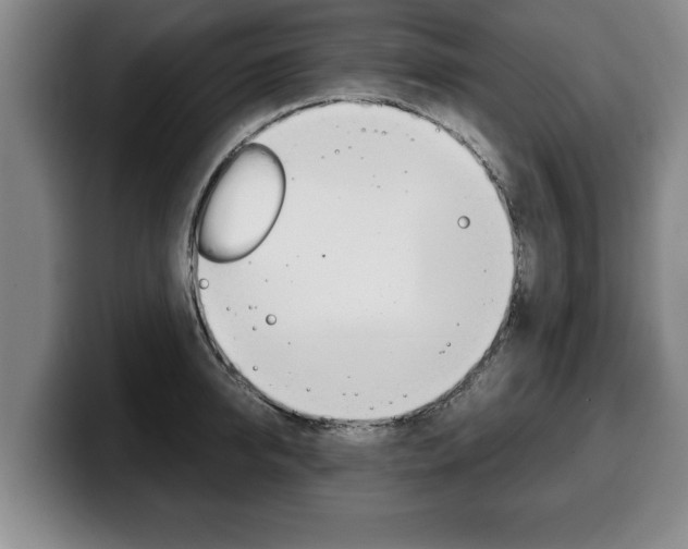 X0000100310950200806051326