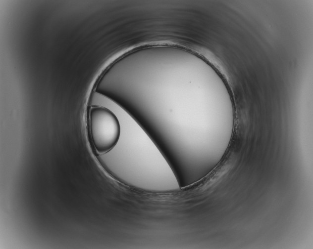X0000100310951200806051326