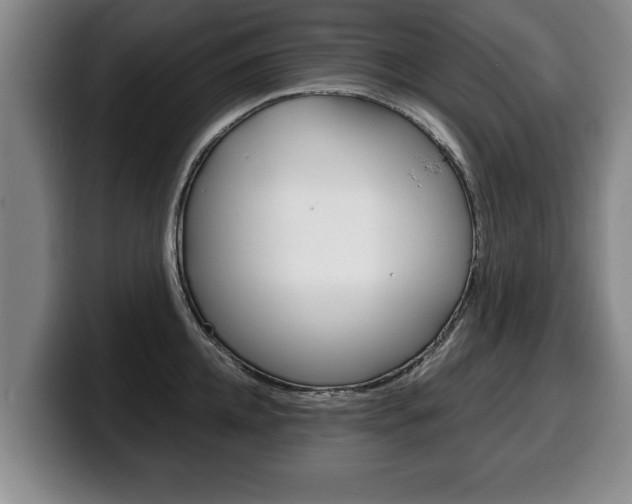 X0000100310952200806051326