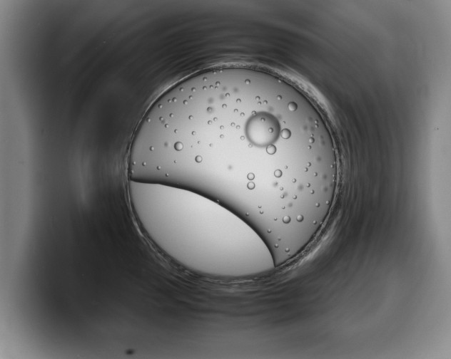 X0000100310953200806051326