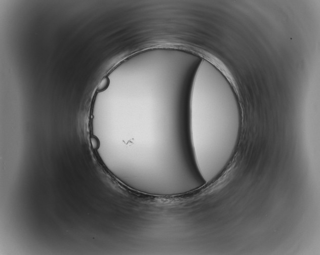 X0000100310954200806051326