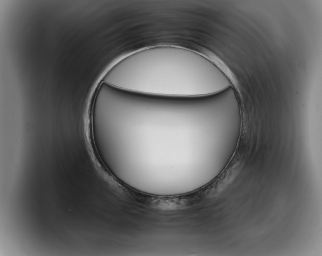 X0000100310955200806051326