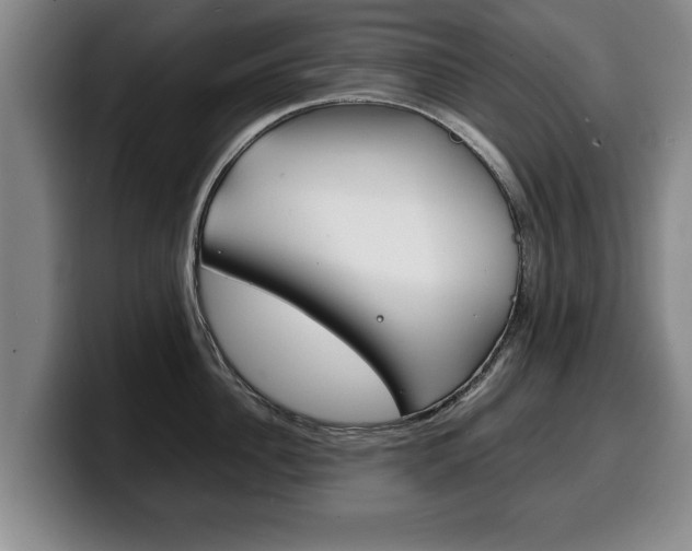 X0000100310956200806051326