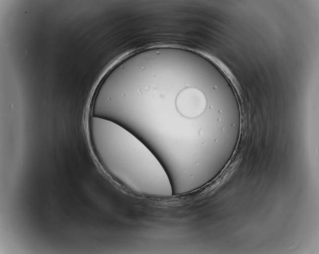 X0000100310957200806051326