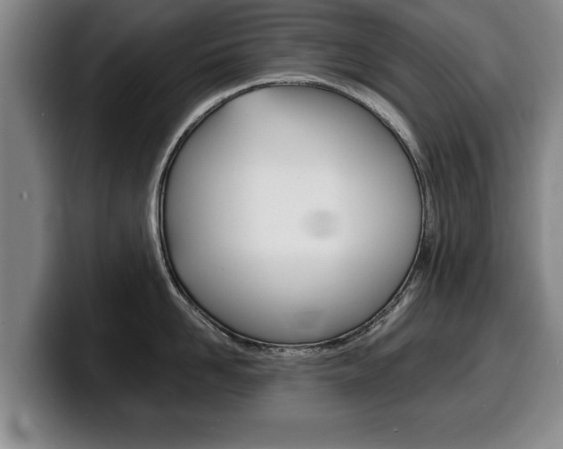 X0000100310958200806051326
